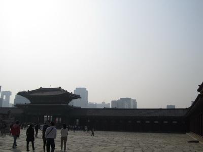IMG_0339_resize.JPG